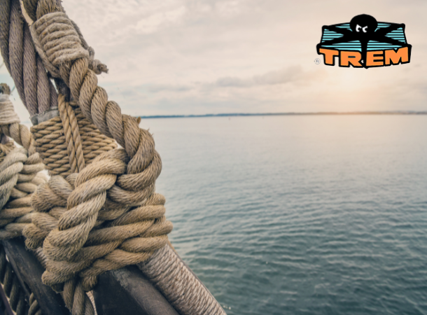 Registrati alla nostra area B2B Trem per acquistare online come rivenditore