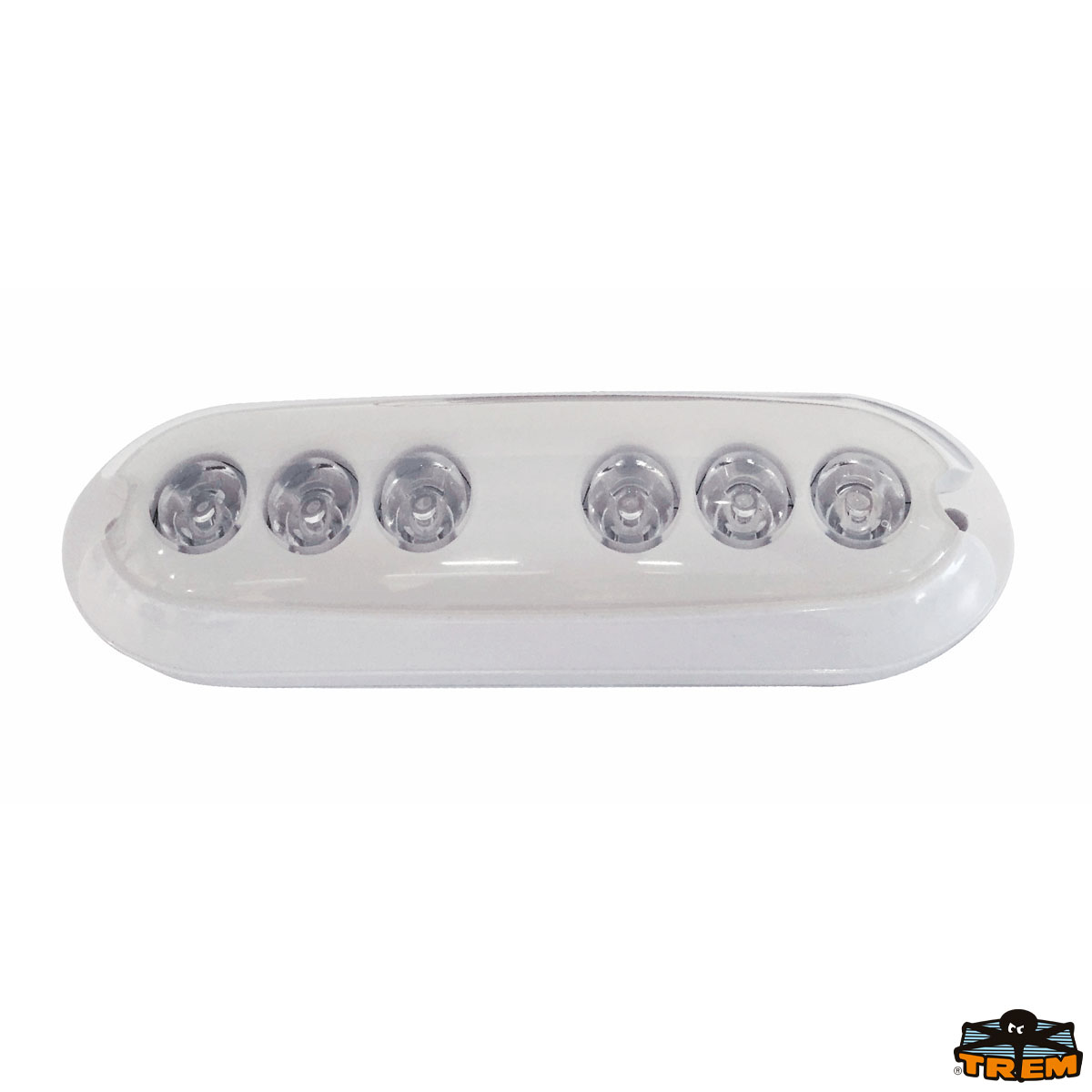 Immagine Luci subacquea ovale a 6 led