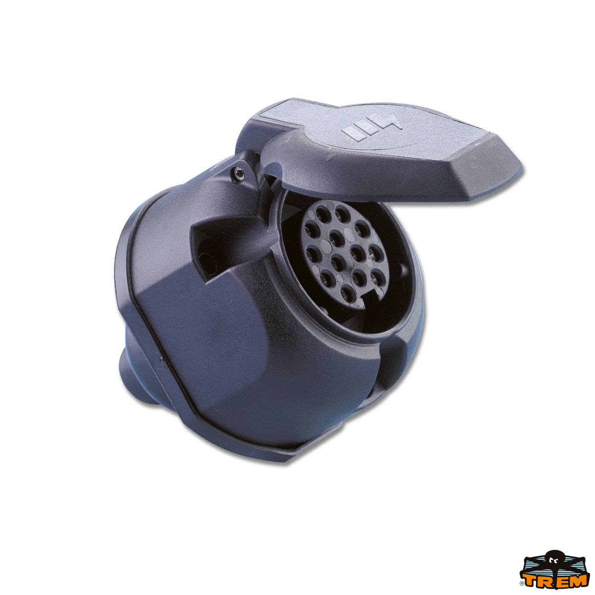 Immagine Presa fissa a 13 poli con coperchio