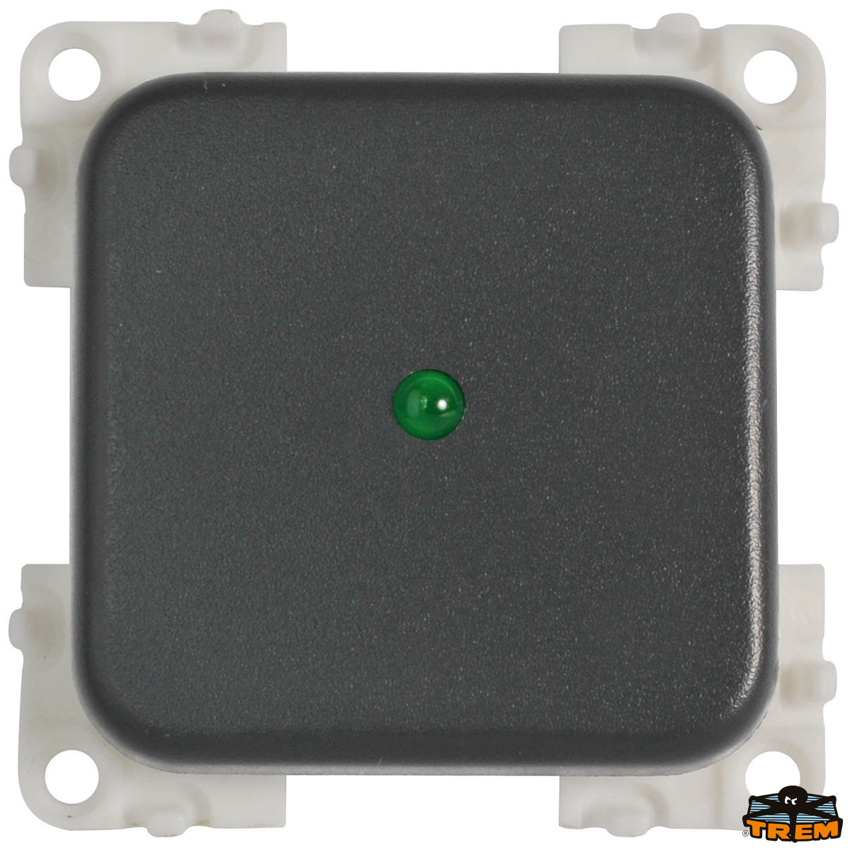 Immagine Interruttore 12V + led