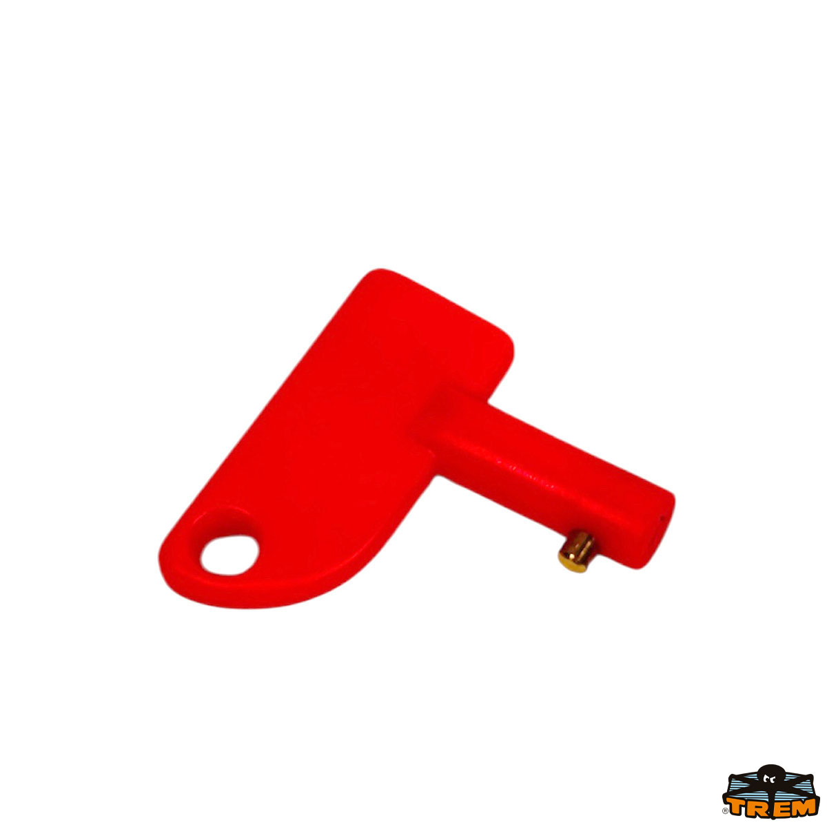 Immagine Chiave di ricambio