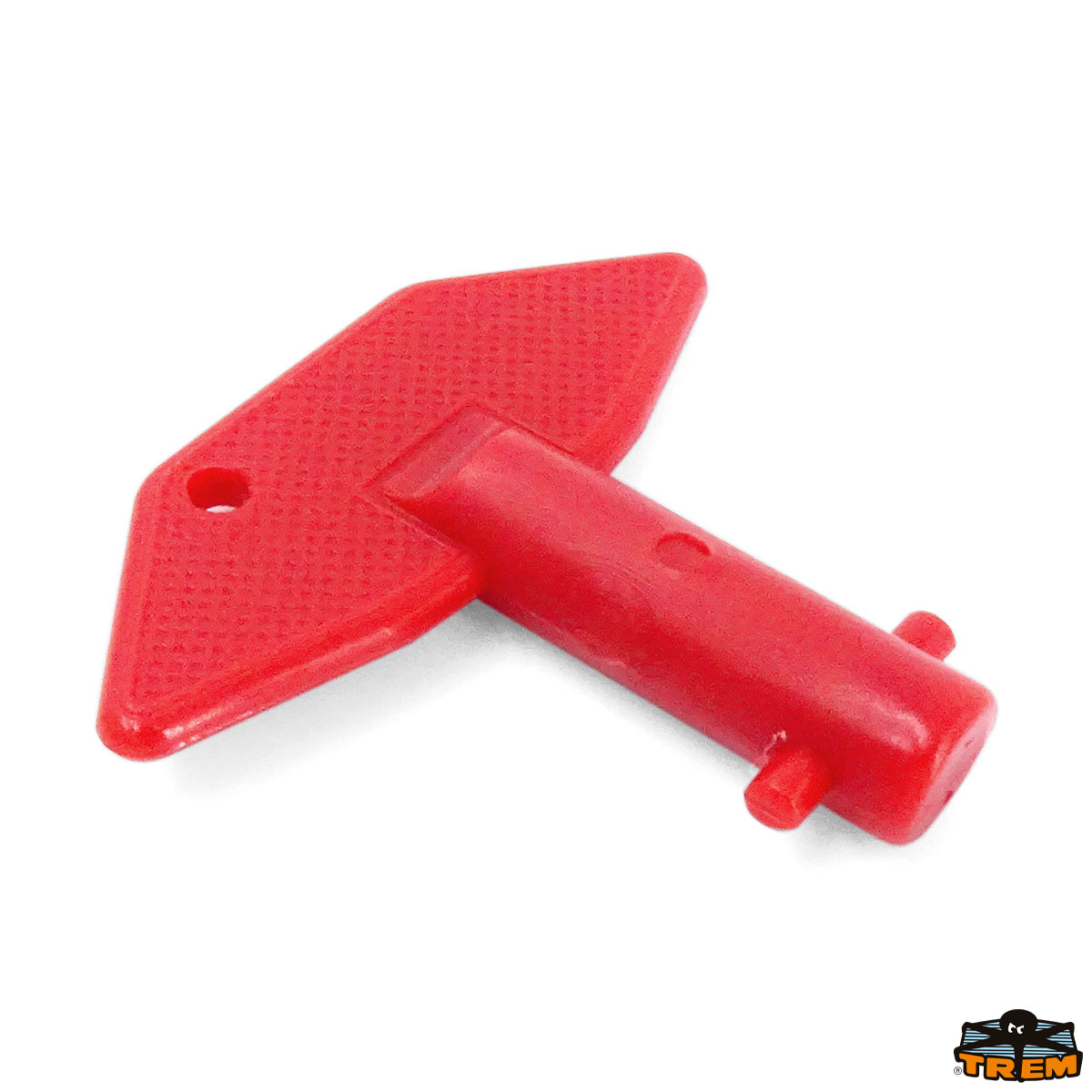 Immagine Chiave di ricambio