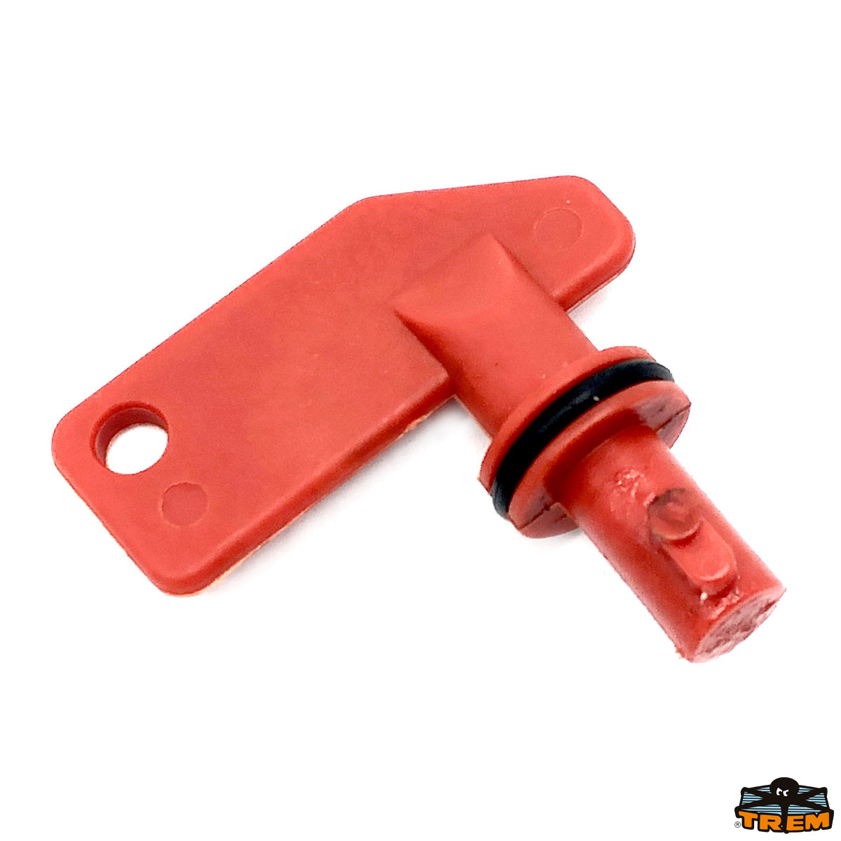 Immagine Chiave di ricambio