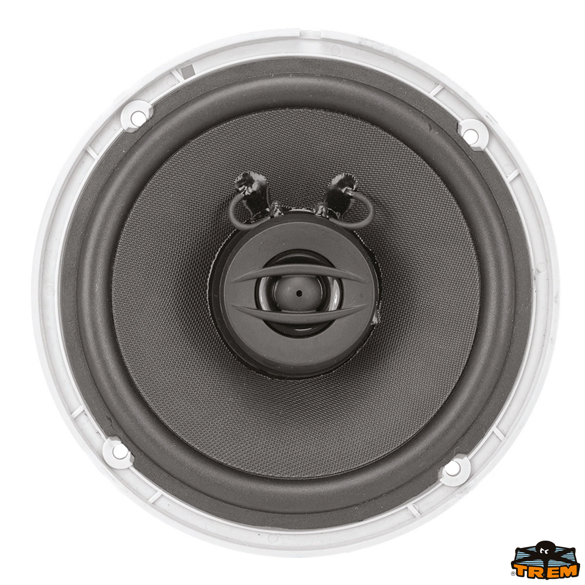 Immagine Cassa speaker 65