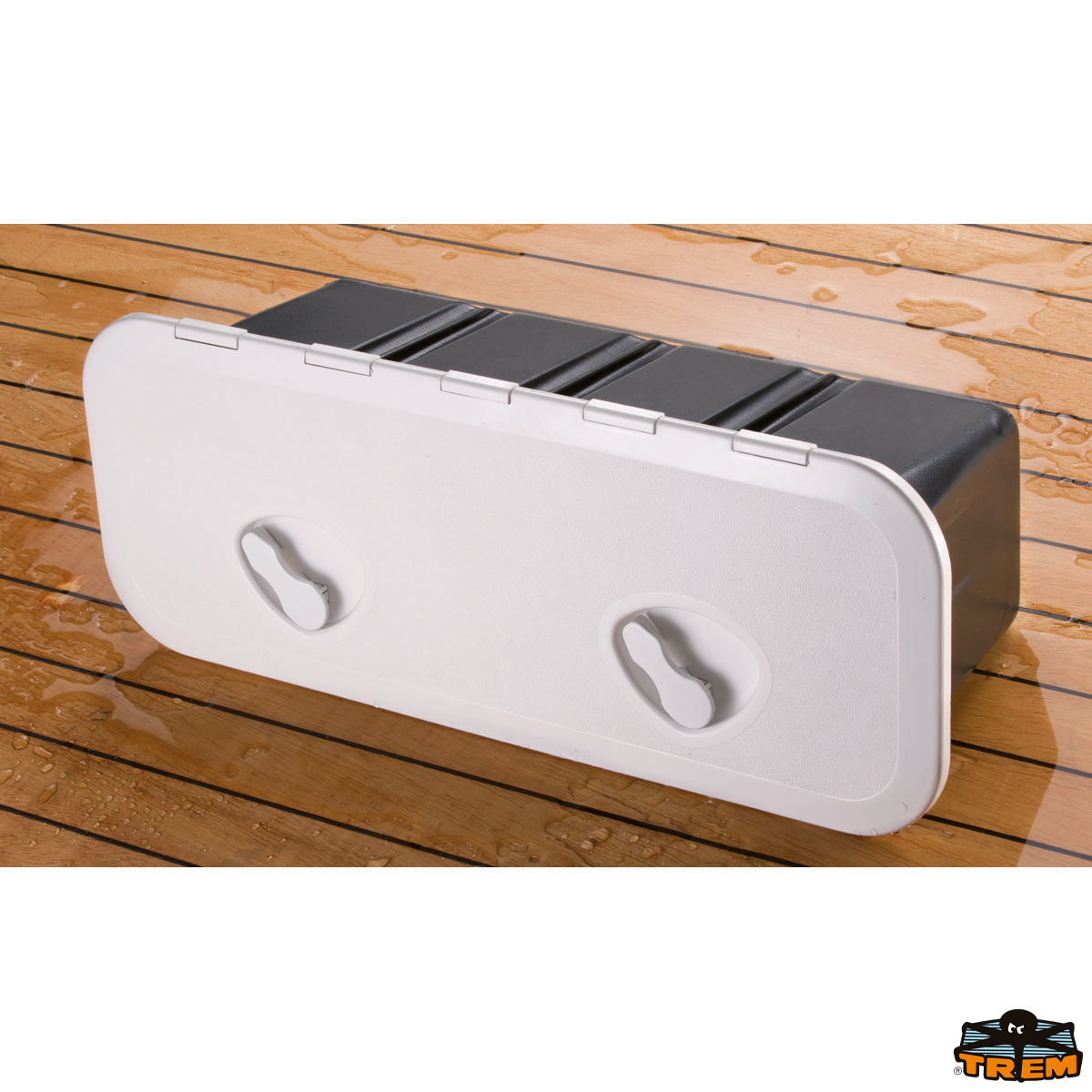 Immagine Portello calpestabile contenitore in AAS con viti coperte